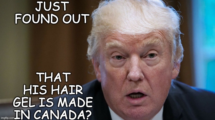Cognitive abilities - confusion - Trump | JUST FOUND OUT THAT HIS HAIR GEL IS MADE IN CANADA? | image tagged in cognitive abilities - confusion - trump | made w/ Imgflip meme maker