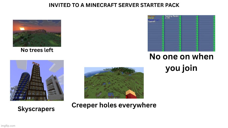 Invited to Minecraft server starter pack | image tagged in minecraft | made w/ Imgflip meme maker