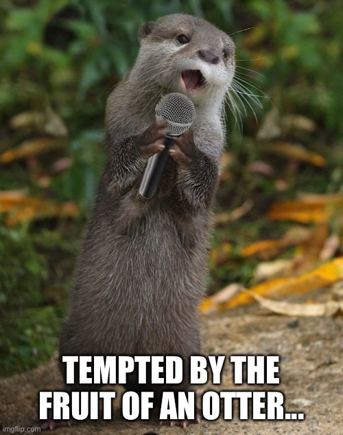 Otter singing | TEMPTED BY THE FRUIT OF AN OTTER... | image tagged in otter,singing | made w/ Imgflip meme maker