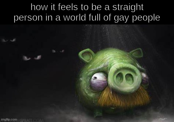 ​ | how it feels to be a straight person in a world full of gay people | image tagged in realistic pig in dark | made w/ Imgflip meme maker