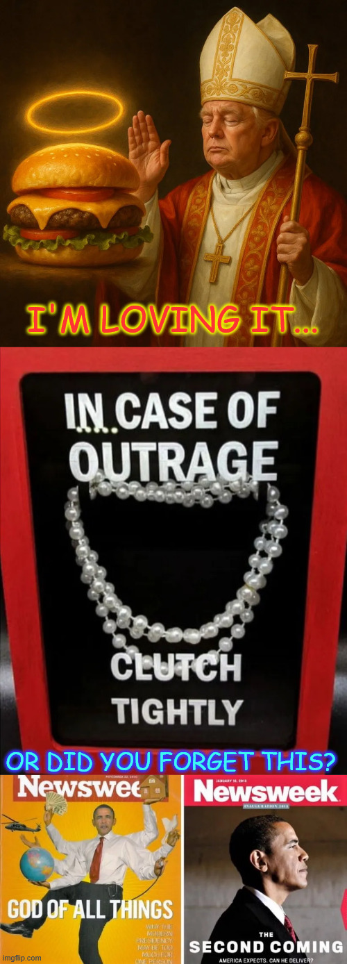 Triggered libs have selective memories. | I'M LOVING IT... OR DID YOU FORGET THIS? | image tagged in triggered libs,have selective memories,hypocrites | made w/ Imgflip meme maker
