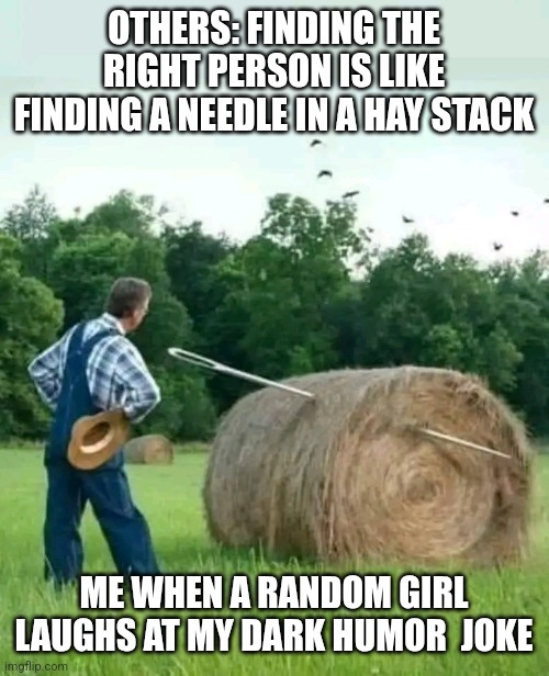 ..... | OTHERS: FINDING THE RIGHT PERSON IS LIKE FINDING A NEEDLE IN A HAY STACK; ME WHEN A RANDOM GIRL LAUGHS AT MY DARK HUMOR  JOKE | image tagged in chrisjoines1 | made w/ Imgflip meme maker