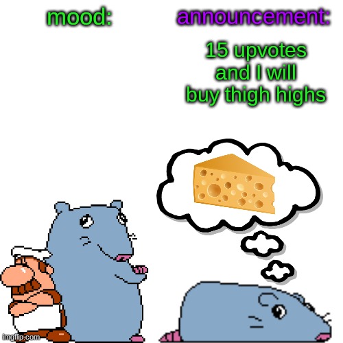 street rat announcement V2 | 15 upvotes and I will buy thigh highs | image tagged in street rat announcement v2 | made w/ Imgflip meme maker