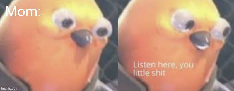 Listen here you little shit bird | Mom: | image tagged in listen here you little shit bird | made w/ Imgflip meme maker