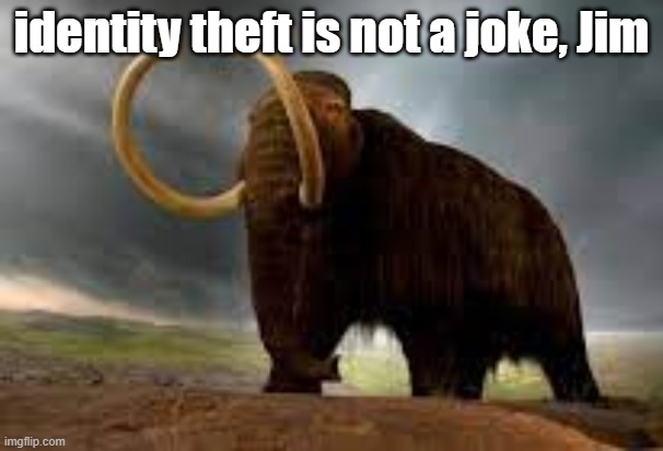 last one. for now. | identity theft is not a joke, Jim | image tagged in wisemysticalmammoth 2 electric boogaloo | made w/ Imgflip meme maker