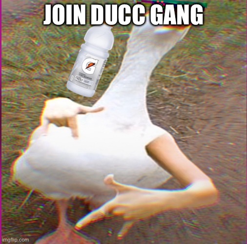 JOIN DUCC GANG | made w/ Imgflip meme maker
