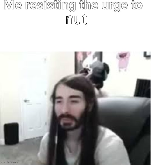 Me resisting the urge to X | nut | image tagged in me resisting the urge to x | made w/ Imgflip meme maker