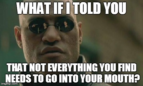 Matrix Morpheus Meme | WHAT IF I TOLD YOU THAT NOT EVERYTHING YOU FIND NEEDS TO GO INTO YOUR MOUTH? | image tagged in memes,matrix morpheus | made w/ Imgflip meme maker