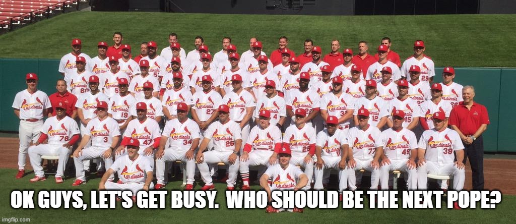 The Cardinals chose! | OK GUYS, LET'S GET BUSY.  WHO SHOULD BE THE NEXT POPE? | image tagged in the pope,cardinals,funny meme | made w/ Imgflip meme maker