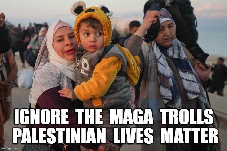 PLM | IGNORE  THE  MAGA  TROLLS  PALESTINIAN  LIVES  MATTER | made w/ Imgflip meme maker