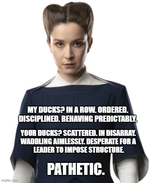 Kleya Ducks | MY DUCKS? IN A ROW. ORDERED. DISCIPLINED. BEHAVING PREDICTABLY. YOUR DUCKS? SCATTERED. IN DISARRAY. 
WADDLING AIMLESSLY. DESPERATE FOR A 
LEADER TO IMPOSE STRUCTURE. PATHETIC. | image tagged in ducks,star wars | made w/ Imgflip meme maker