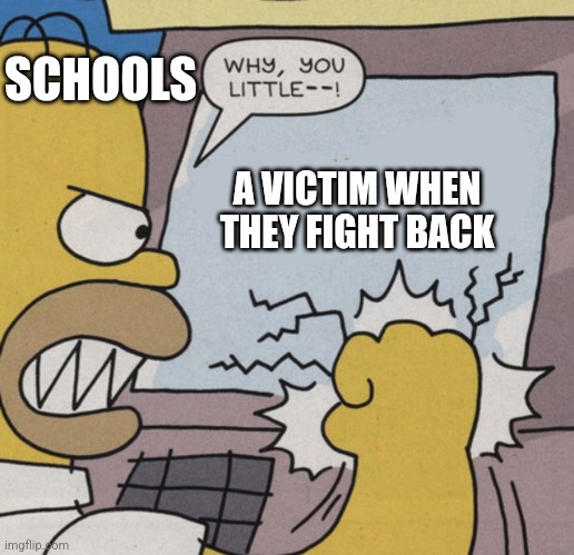 Schools be like | SCHOOLS; A VICTIM WHEN THEY FIGHT BACK | image tagged in homer simpson punching atm,homer simpson,homer,school,bully | made w/ Imgflip meme maker