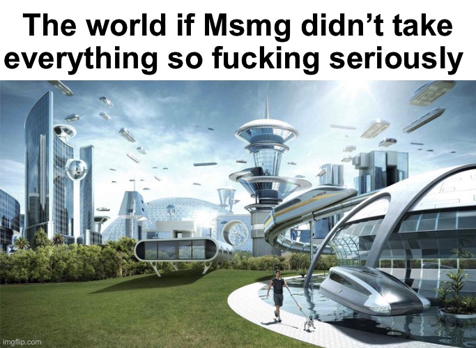 The future world if | The world if Msmg didn’t take everything so fucking seriously | image tagged in the future world if,msmg | made w/ Imgflip meme maker