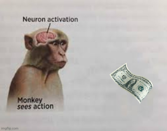 Paper I can trade for transformers | image tagged in neuron activation | made w/ Imgflip meme maker
