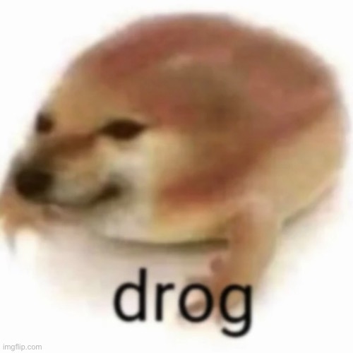 drog | image tagged in drog | made w/ Imgflip meme maker