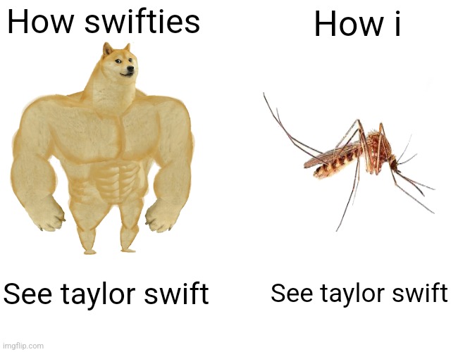 Mosquito | How swifties; How i; See taylor swift; See taylor swift | image tagged in memes,buff doge vs cheems | made w/ Imgflip meme maker