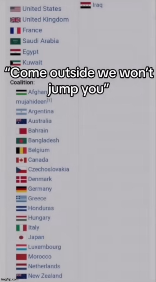 made w/ Imgflip meme maker