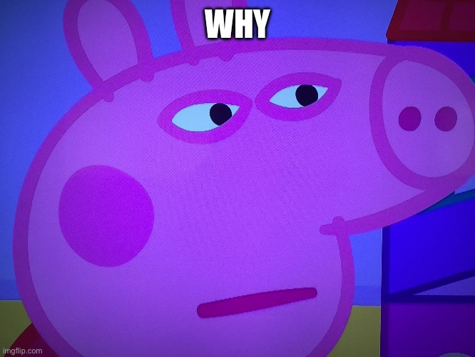 What did you say Peppa Pig | WHY | image tagged in what did you say peppa pig | made w/ Imgflip meme maker