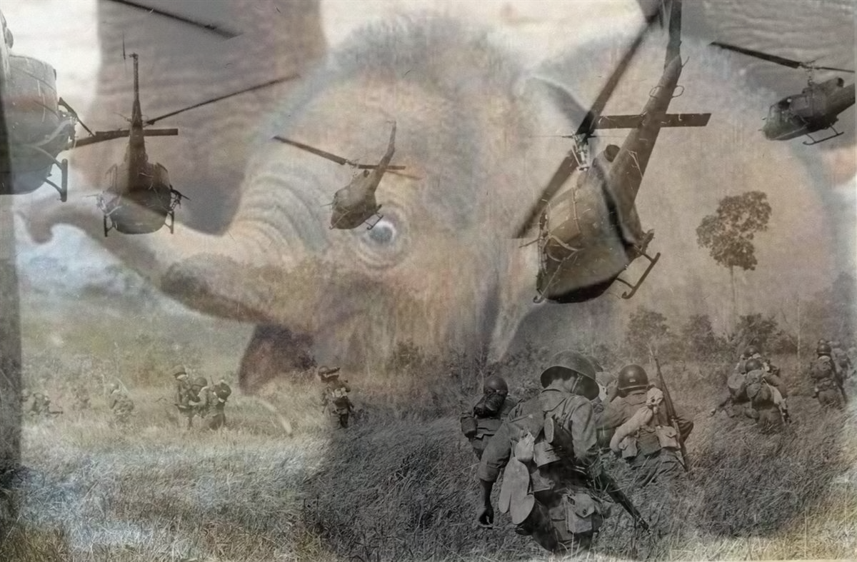 Elephant Vietnam Flashbacks Blank Meme Template
