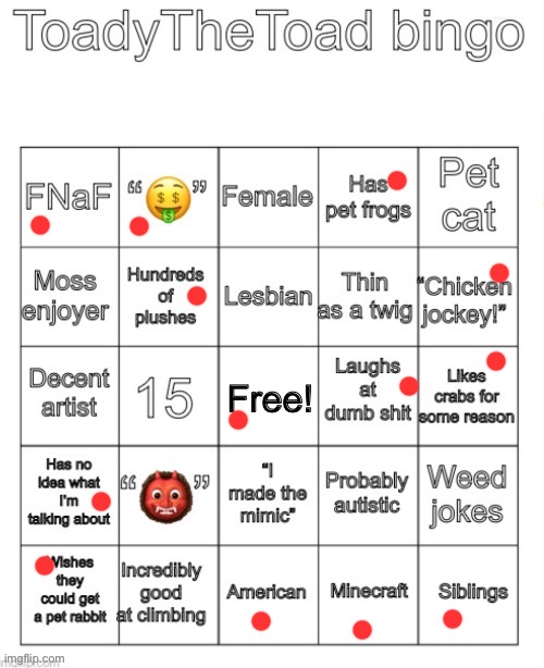 didnt get any ts(this) time | image tagged in toadythetoad bingo | made w/ Imgflip meme maker