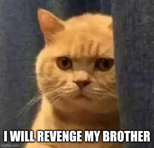 de kuales gato | I WILL REVENGE MY BROTHER | image tagged in de kuales gato | made w/ Imgflip meme maker