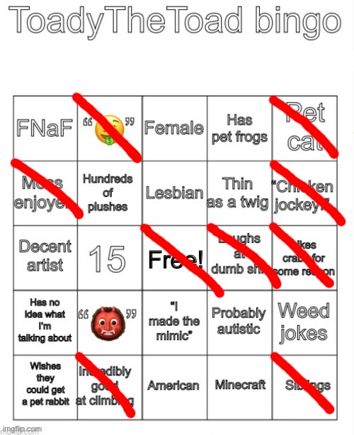 ToadyTheToad Bingo | image tagged in toadythetoad bingo | made w/ Imgflip meme maker