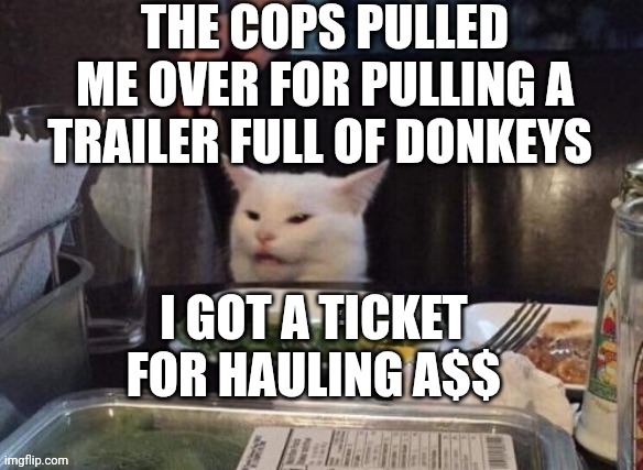 Smudge that darn cat | THE COPS PULLED ME OVER FOR PULLING A TRAILER FULL OF DONKEYS; I GOT A TICKET FOR HAULING A$$ | image tagged in smudge that darn cat | made w/ Imgflip meme maker