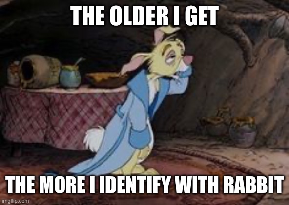 Rabbit | THE OLDER I GET; THE MORE I IDENTIFY WITH RABBIT | image tagged in rabbit | made w/ Imgflip meme maker