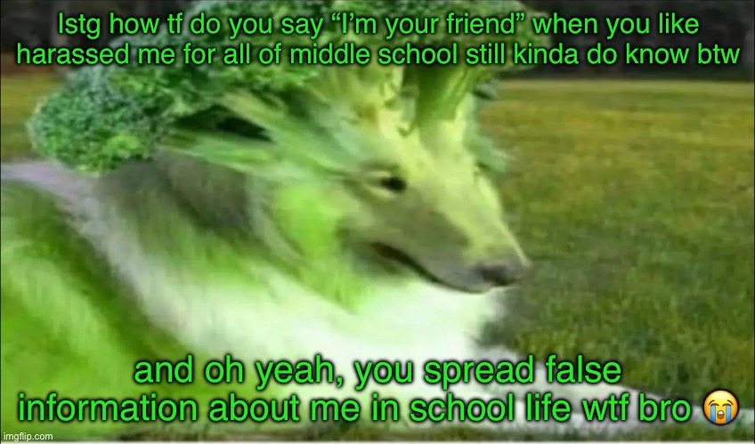 Ventposting (I regret) | Istg how tf do you say “I’m your friend” when you like harassed me for all of middle school still kinda do know btw; and oh yeah, you spread false information about me in school life wtf bro 😭 | image tagged in broco dogo | made w/ Imgflip meme maker