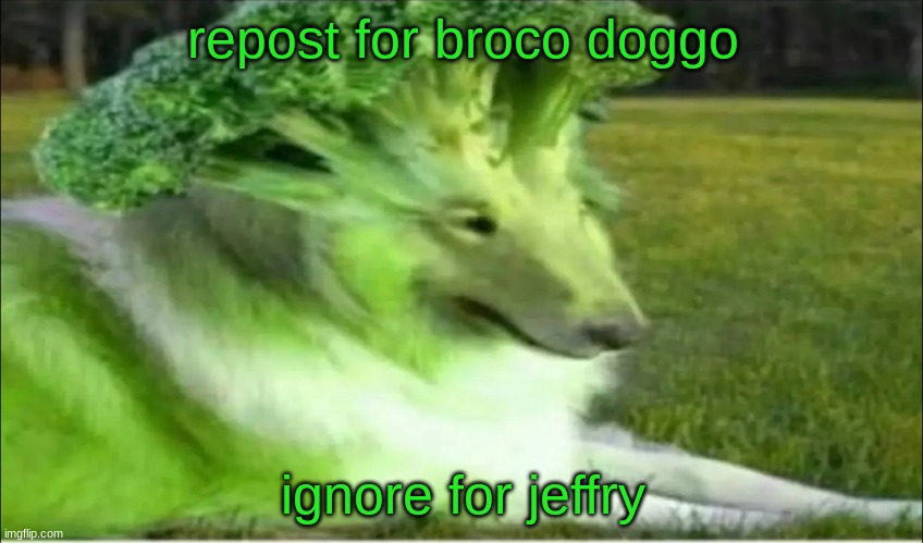 Broco dogo | repost for broco doggo; ignore for jeffry | image tagged in broco dogo | made w/ Imgflip meme maker