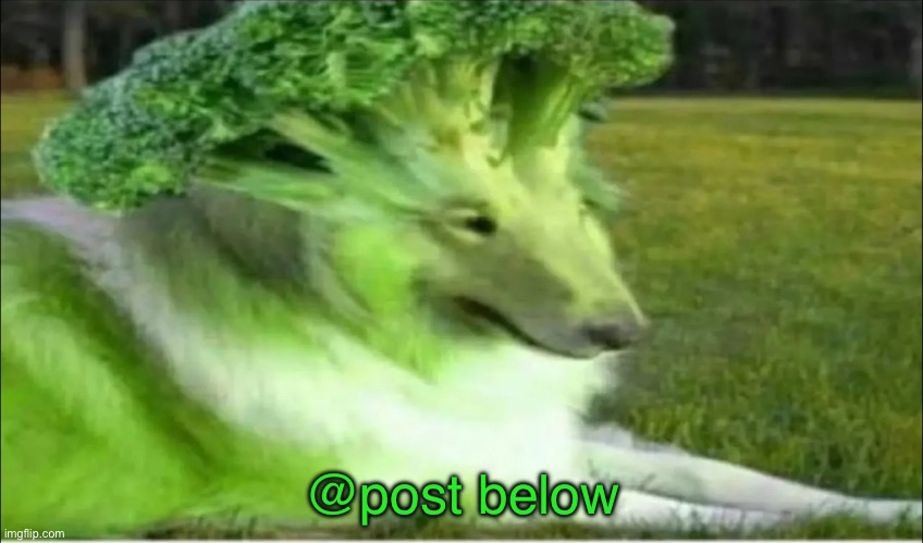 Broco dogo | @post below | image tagged in broco dogo | made w/ Imgflip meme maker