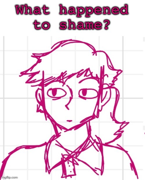 The face says it | image tagged in what happened to shame | made w/ Imgflip meme maker