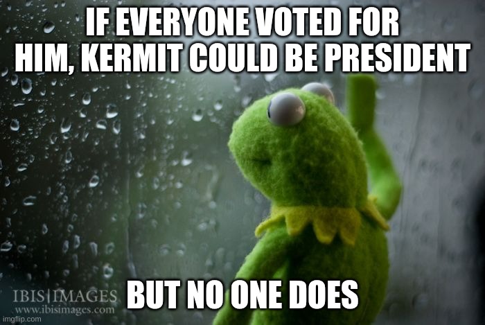 kermit window | IF EVERYONE VOTED FOR HIM, KERMIT COULD BE PRESIDENT; BUT NO ONE DOES | image tagged in kermit window | made w/ Imgflip meme maker
