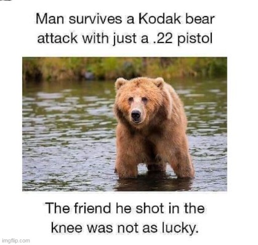 "Friends" Amirite ? | image tagged in bear attack meme | made w/ Imgflip meme maker