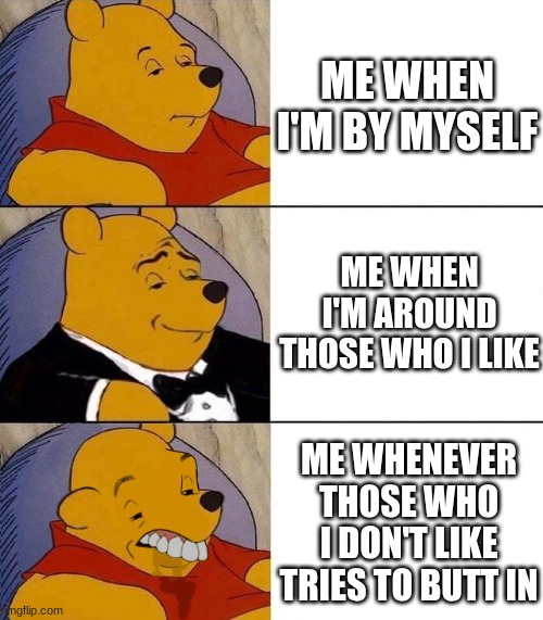 New Yet Classic Memes: Relatable | ME WHEN I'M BY MYSELF; ME WHEN I'M AROUND THOSE WHO I LIKE; ME WHENEVER THOSE WHO I DON'T LIKE TRIES TO BUTT IN | image tagged in best better blurst | made w/ Imgflip meme maker