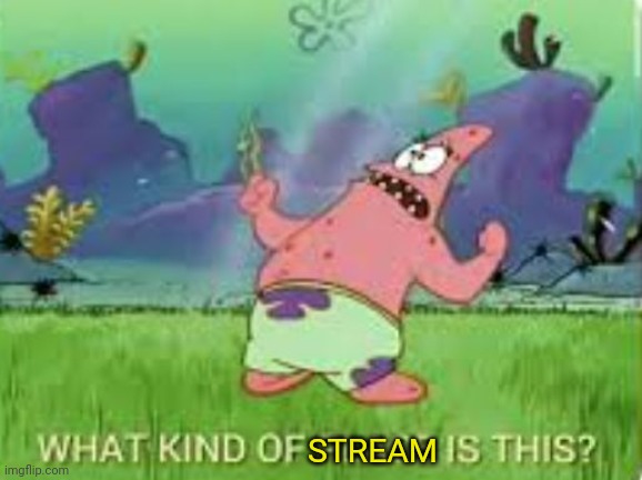 Patrick what kind of place is this? | STREAM | image tagged in patrick what kind of place is this | made w/ Imgflip meme maker