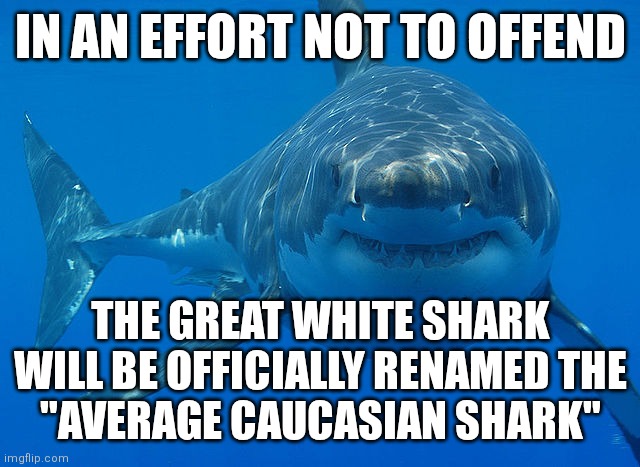 Offensive great white shark | IN AN EFFORT NOT TO OFFEND; THE GREAT WHITE SHARK
WILL BE OFFICIALLY RENAMED THE
"AVERAGE CAUCASIAN SHARK" | image tagged in great white shark,racist,white power | made w/ Imgflip meme maker
