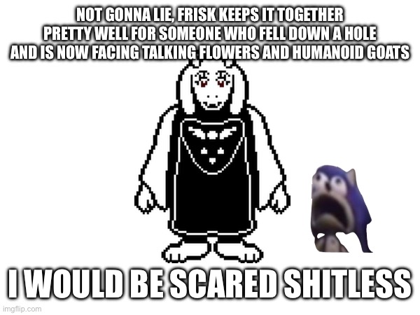 I would be unreasonably scared | NOT GONNA LIE, FRISK KEEPS IT TOGETHER PRETTY WELL FOR SOMEONE WHO FELL DOWN A HOLE AND IS NOW FACING TALKING FLOWERS AND HUMANOID GOATS; I WOULD BE SCARED SHITLESS | made w/ Imgflip meme maker