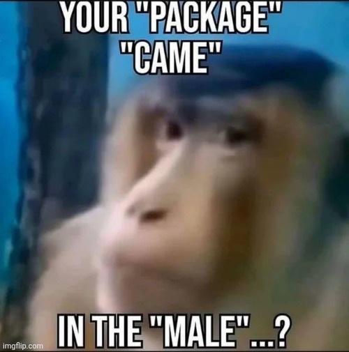 image tagged in memes,msmg,shitpost | made w/ Imgflip meme maker