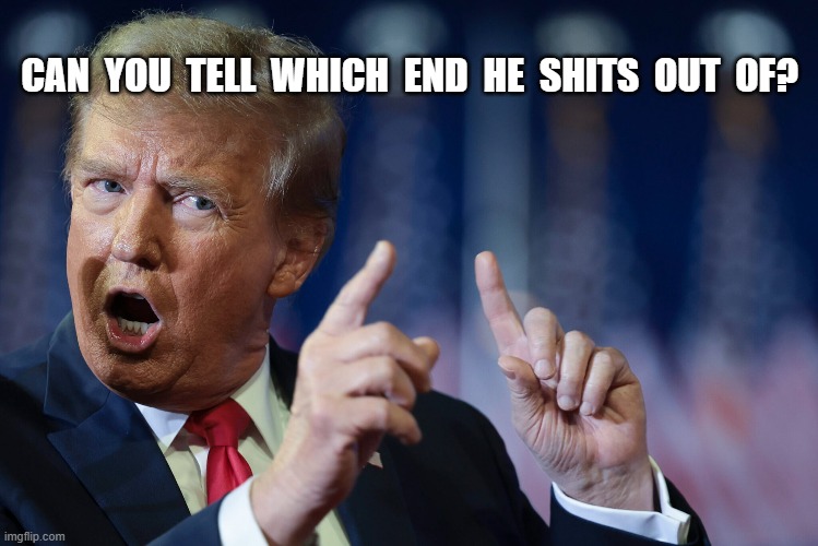 End Game | CAN  YOU  TELL  WHICH  END  HE  SHITS  OUT  OF? | image tagged in donald trump | made w/ Imgflip meme maker