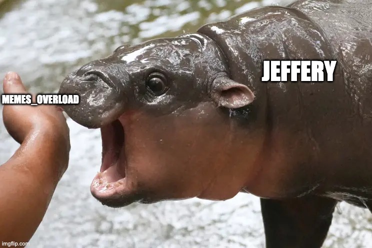 moo deng NOM | JEFFERY; MEMES_OVERLOAD | image tagged in moo deng nom | made w/ Imgflip meme maker