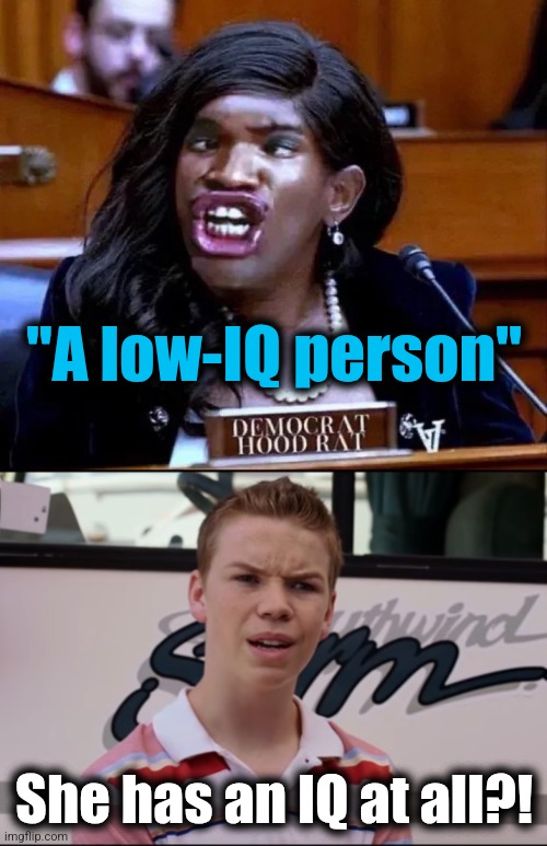 "A low-IQ person"; She has an IQ at all?! | image tagged in rep jasmine crockett,you guys are getting paid,memes,democrats,iq,idiots | made w/ Imgflip meme maker