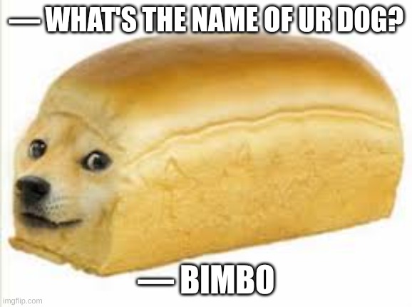 Bimbo | — WHAT'S THE NAME OF UR DOG? — BIMBO | image tagged in doge bread | made w/ Imgflip meme maker