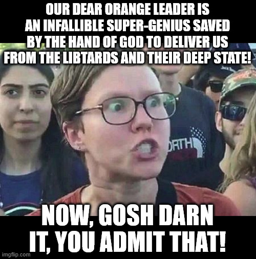 Trump Chumps get triggered, too! | OUR DEAR ORANGE LEADER IS AN INFALLIBLE SUPER-GENIUS SAVED BY THE HAND OF GOD TO DELIVER US FROM THE LIBTARDS AND THEIR DEEP STATE! NOW, GOSH DARN IT, YOU ADMIT THAT! | image tagged in triggered liberal | made w/ Imgflip meme maker
