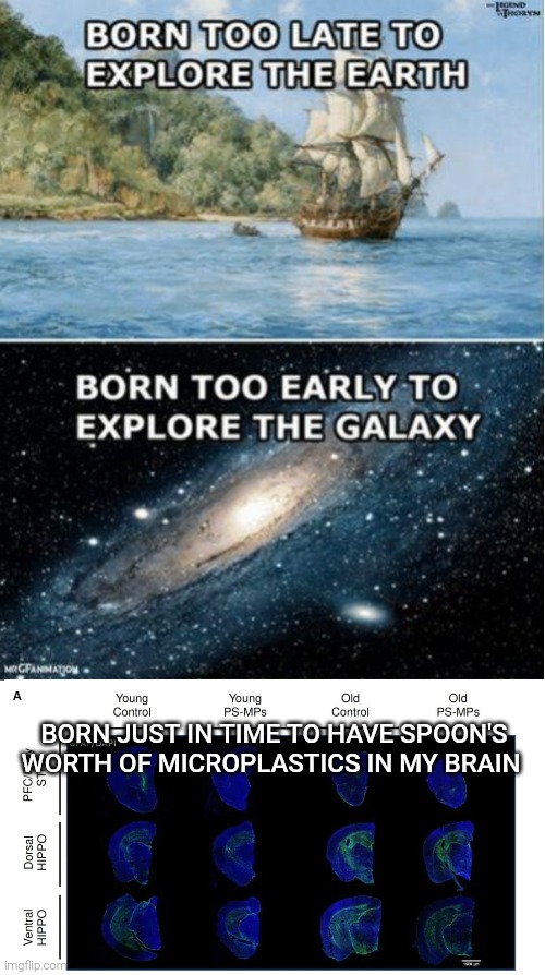 Microplastic brain | BORN JUST IN TIME TO HAVE SPOON'S WORTH OF MICROPLASTICS IN MY BRAIN | image tagged in born too late blank | made w/ Imgflip meme maker