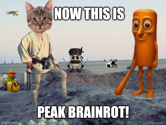 Luke on Tatooine | NOW THIS IS; PEAK BRAINROT! | image tagged in memes,brainrot,luke | made w/ Imgflip meme maker