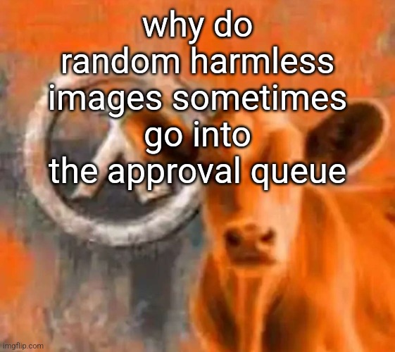 Calf-Life 1 | why do random harmless images sometimes go into the approval queue | image tagged in calf-life 1 | made w/ Imgflip meme maker