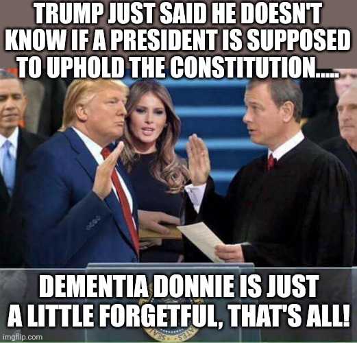 He is gone | TRUMP JUST SAID HE DOESN'T KNOW IF A PRESIDENT IS SUPPOSED TO UPHOLD THE CONSTITUTION..... DEMENTIA DONNIE IS JUST A LITTLE FORGETFUL, THAT'S ALL! | image tagged in donald trump,trump,maga,trump supporter,nevertrump,trump sucks | made w/ Imgflip meme maker
