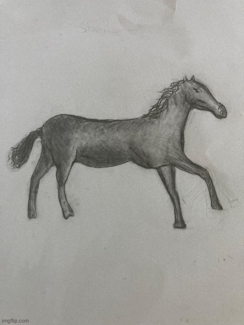 I tried ? | image tagged in horse,sketch | made w/ Imgflip meme maker