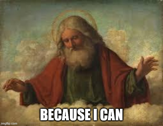 god | BECAUSE I CAN | image tagged in god | made w/ Imgflip meme maker